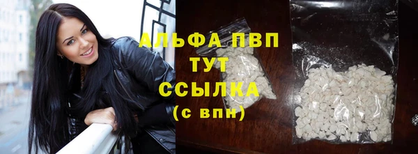 spice Абаза