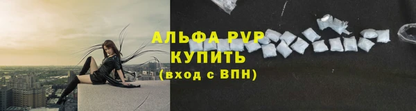 spice Абаза