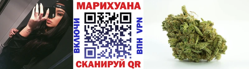 Каннабис планчик  Сурск 
